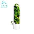 Capsula Green Keeper - Linha Casa Kitchen